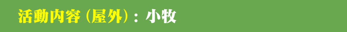 パパママハウス小牧:活動内容(屋外)